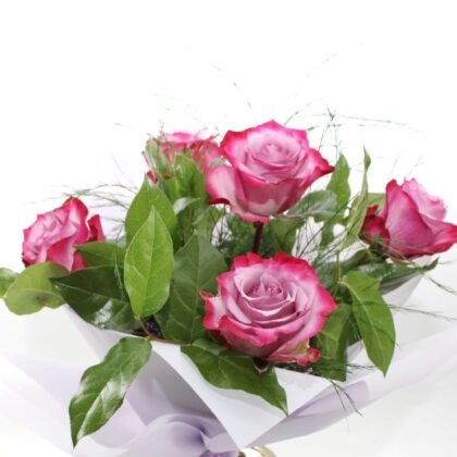 Buchet 5 trandafiri Deep Purple